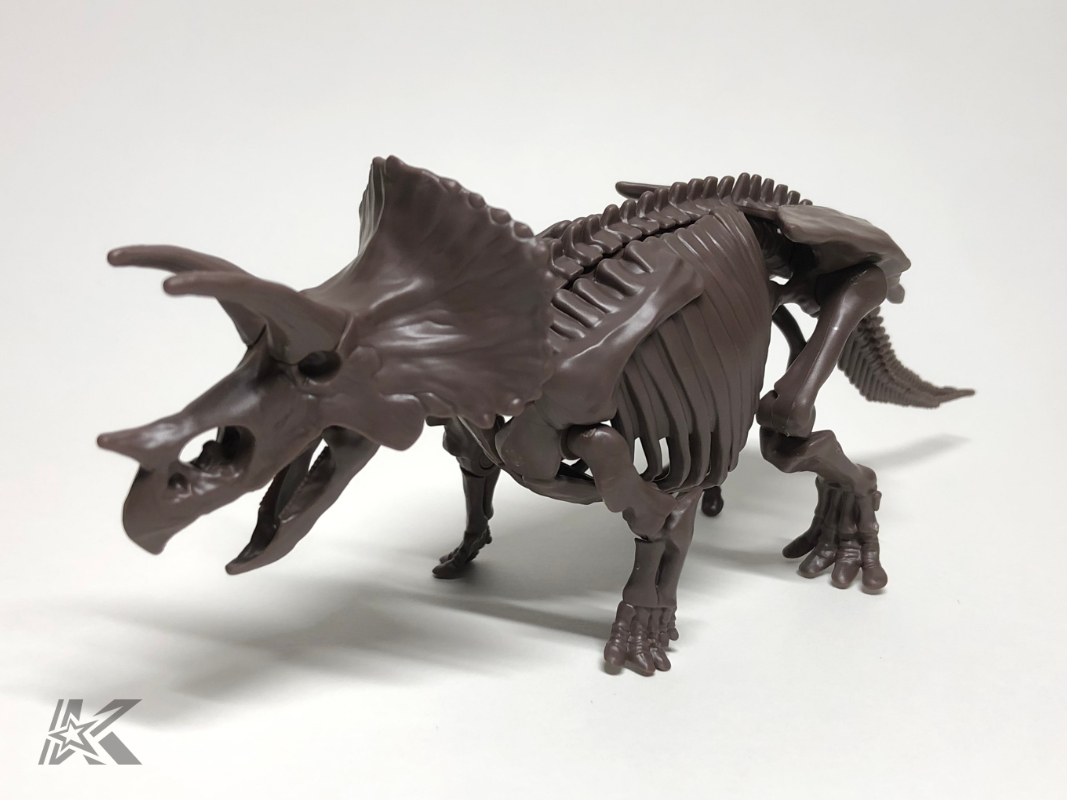 恐竜骨格プラモデル トリケラトプス 改造1 頭骨編 かずずギャラリー